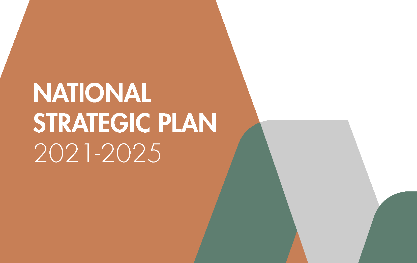 national research council strategic plan
